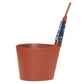 Rento Pisara Brown Bucket/Ladle