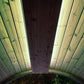 SaunaLife Emood Color Lighting for ERGO Sauna